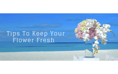 Keep Your Fresh Flower Bouquet Fresh For Longer. Here’s How.